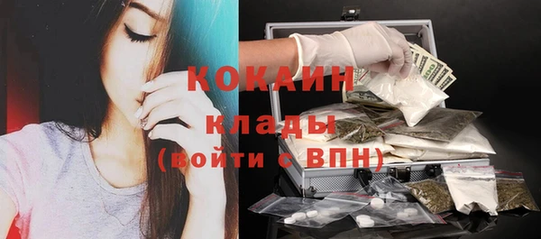 крисы Богородицк