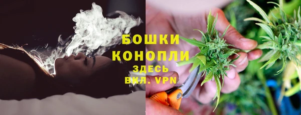 крисы Богородицк