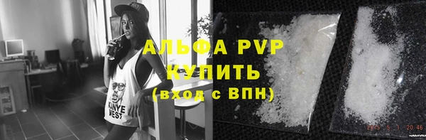 СК Богородск