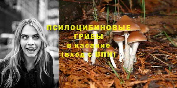 меф VHQ Богданович