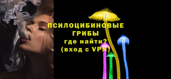 крисы Богородицк