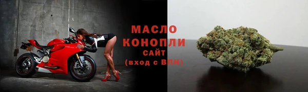 СК Богородск