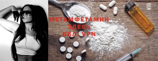 крисы Богородицк