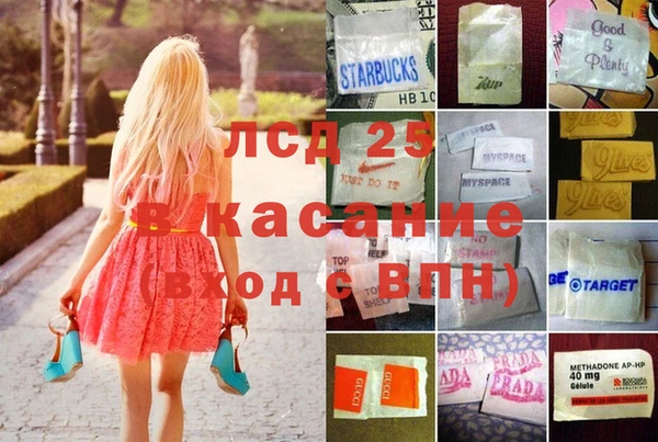 крисы Богородицк