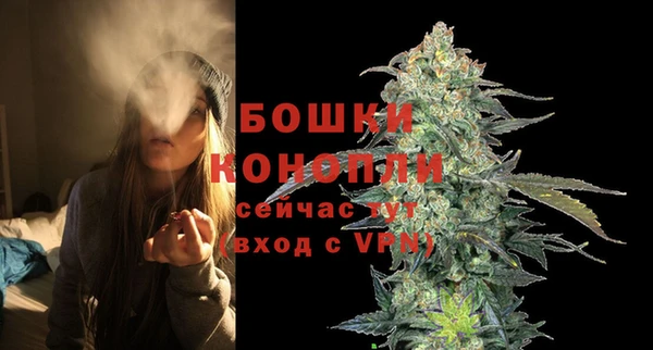 СК Богородск